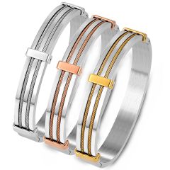 **COI Titanium Silver/Gold Tone/Rose Silver Wire Bangle With Steel Clasp(Length: 7.67 inches)-9193BB